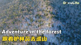 美国探险家迷上中国东北 独家探秘尚未开放的东北虎豹国家公园他会看到什么？《永远的行走：与中国相遇》【DocuLife-SMG真实传媒】