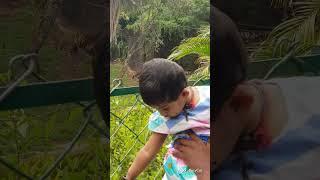 Hyderabad zoo park my childhood video#Zainu ki shararatein