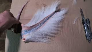 How to Skin a whitetail deer tail and preserve for display