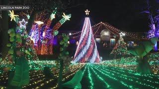 'Zoo Lights' at Lincoln Park Zoo to kick off its 29th year