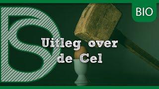 Examen Biologie - Uitleg de Cel (Havo/VWO)