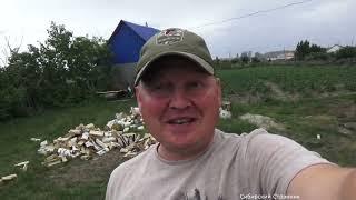 Наловили, закоптили, закусили. Вот это вкуснота.