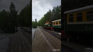 #rzd #ржд #поезда #вл10 #чс200 #машинист #shortsvideo #детскаяжелезнаядорога #джд #путешествие