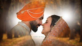 HARRY & PUJI  || Best Punjabi Wedding Highlight Video 2023 || Studio Apple Sirsa | India