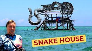 Mindanao's MOST DANGEROUS House! 100 SEA SNAKES Live Here