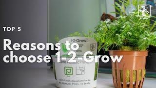 Top 5 Reasons to Choose 1-2-Grow! | In vitro | Tissue Culture aquarium plants