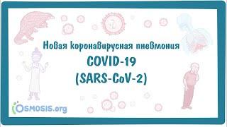 COVID-19 - Новая коронавирусная пневмония