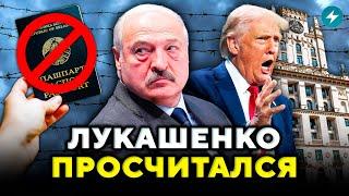 Лукашенко поддержал Украину: Минск ждут переговоры? Польша сокращает выдачу виз // Новости Беларуси