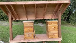 Building a new Bee shack