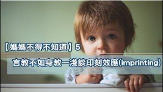 【媽媽不得不知道】5：言教不如身教—淺談印刻效應(imprinting)