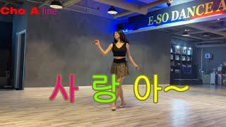 [ChoA line] 사랑아 linedance l Demo l Beginner l My LoveㅣJo Thompson Szymanski l 장윤정  l 인천송도라인댄스