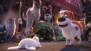 The Secret Life of Pets mawshot compilation