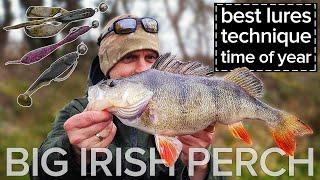 Perch Fishing in Ireland - Must Have Perch Lures  How to Work Them & When?