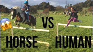 Horse Vs Human- Who Can Jump Higher?|The Fell Pony