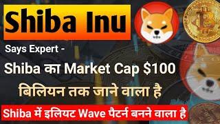 Says Expert - Shiba Set for $100 Billion Market Cap | Shiba Inu Coin News Today | Price Prediction
