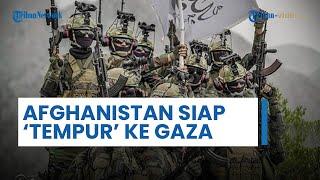 Ribuan Pejuang Afghanistan Siap Menuju & Bertempur di Gaza, Iran-Taliban Siap Hancurkan Rezim Israel