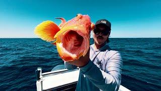 THE WEST AUS FILES - TREBAGS LOSES LARGE FISH