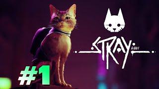 АНТОША ПРОХОДИТ ИГРУ ПРО КОТИКА | Stray #1