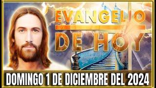 EVANGELIO DE HOY DOMINGO 1 DE DICIEMBRE DEL 2024 | PALABRA DE DIOS