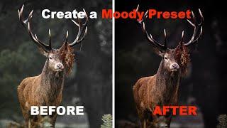 How To: Create a Moody Preset (Beginner)