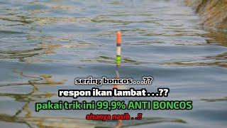 TRIK ANTI BONCOS MANCING IKAN NILA AGAR BERKUMPUL DI SATU TITIK DAN IKAN CEPAT MAKAN UMPAN