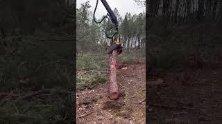 “High-tech harvester:Innovation in forestry” #harvester #forest #viralvideo #heavymachinery #logging