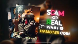 What is hamster coin | full details video