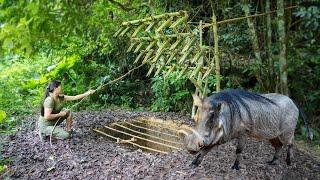 Giant Wild Boar Trap - The Power to Survive Spectacularly/ Multi-day Survival Trip, Part 3
