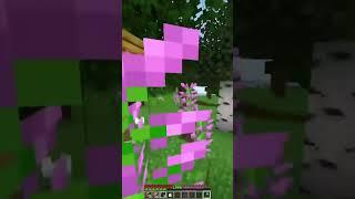 Minecraft搞笑事件～