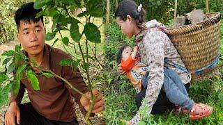 Huong picks medicinal plants to sell - Does Hung's mother agree to let Hung stay with Huong?