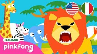 Hakuna Matata | Inglese a italiano｜Bimbo Squalo | Pinkfong, Canzoni per Bambini