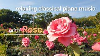 4k 1hour ) 기분좋은 하루, 신나는 하루를 위한 클래식 피아노  Beautiful classical piano music for relaxing