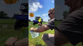 "Unlimited Food Trick Using Beetles?!  | Eyetubefacts | #facts #factsmine #shorts