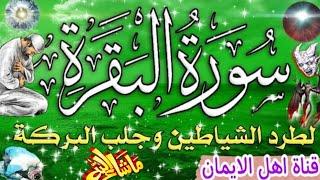 سورة البقرة كاملة مكررة بصوت اكثر من رائع لطرد الشياطين والجن والسحر والحسد جلب الرزق surat albaqara