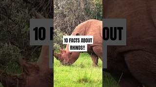 10 Amazing Facts about Rhinos, you didn't know!  #animals #epic #facts #rhino