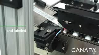 Canapa Wraparound Tube Labeling Machine