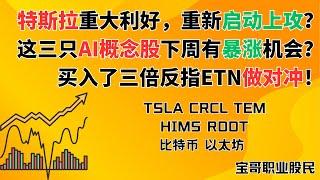 特斯拉重大利好，重新启动上攻？这三只AI概念股下周有暴涨机会？买入了三倍反指ETN做对冲！TSLA CRCL TEM HIMS RDDT 比特币 以太坊! 06132025 #美股投资 #技術分析