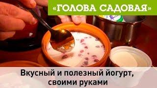 Голова садовая - Вкусный и полезный йогурт, своими руками