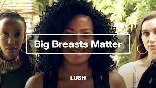 Uncovering the Truth about Why "Big Breasts Matter"