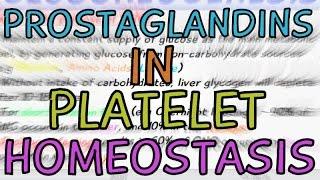 How are Prostaglandins involved in Platelet Homeostasis?