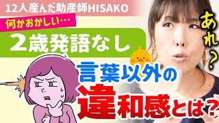 【※あれっ…？母が感じる日常の違和感】2歳発語が少ないですが見守っても大丈夫？【助産師HISAKO/ひさこ/子育て/乳児/幼児/２歳/3歳/発達障害/言葉が遅い/２語文/３語文/１歳半健診】