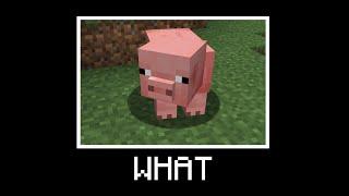 WHAT - Minecraft 1.17+ Resource Pack