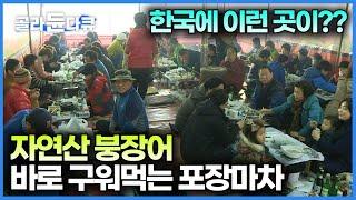 이런 곳이 있는줄도 몰랐다. 바다보면서 장어 구워먹을 수 있는 대형 포장마차｜한국기행｜#골라듄다큐