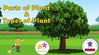 PARTS OF PLANT | TYPES OF PLANTS | PLANT CONCEPT VIDEO - JR. KG & SR. KG | KIDZEE | MK KIDS WORLD |