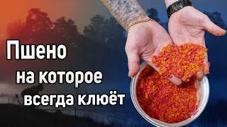 Правильное пшено для рыбалки. Как варить пшено для рыбалки. Каша для рыбалки на фидер. Каша для леща