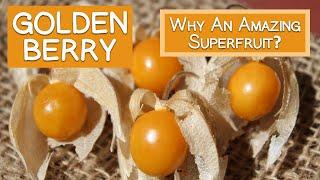 Golden Berry, High in Antioxidants and Unique Plant Compounds