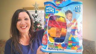 Building Blocks Toys - Mega Bloks