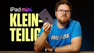 iPad mini 6 nach 2 Wochen Dauereinsatz