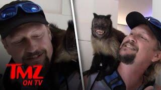 Crystal The Monkey At LAX! | TMZ TV