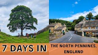 7 DAYS in the North Pennines | Hadrian's Wall, England | The Sycamore Gap Tree | Family Travel UK